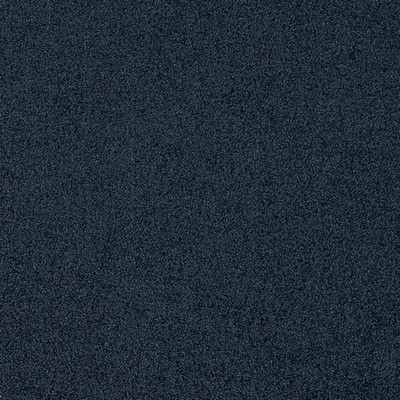 Charlotte Fabrics D4663 Blueberry