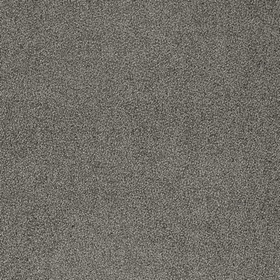 Charlotte Fabrics D4668 Cement