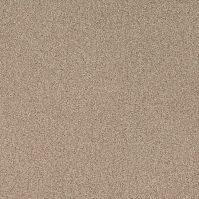 Charlotte Fabrics D4672 Pebble