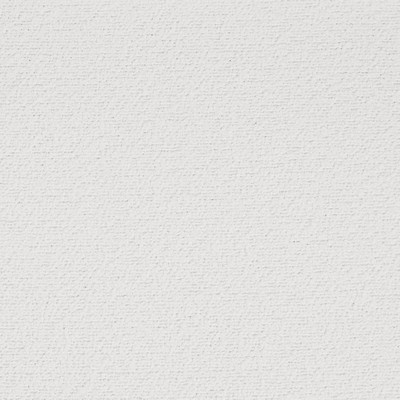 Charlotte Fabrics D4681 Snow