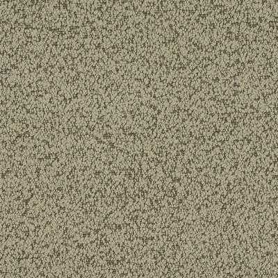 Charlotte Fabrics D4684 Sage