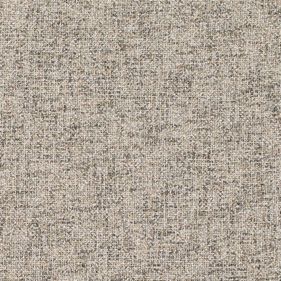Charlotte Fabrics D4692 Fog