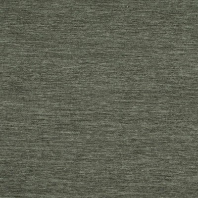 Charlotte Fabrics D4705 Pumice
