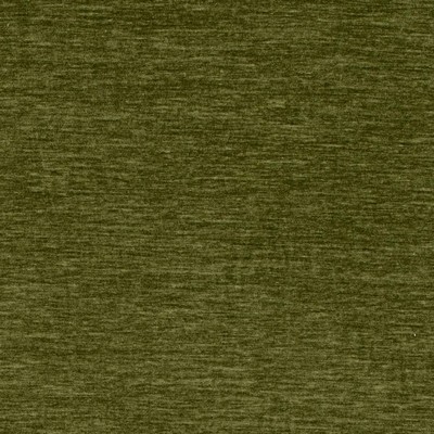 Charlotte Fabrics D4708 Olive