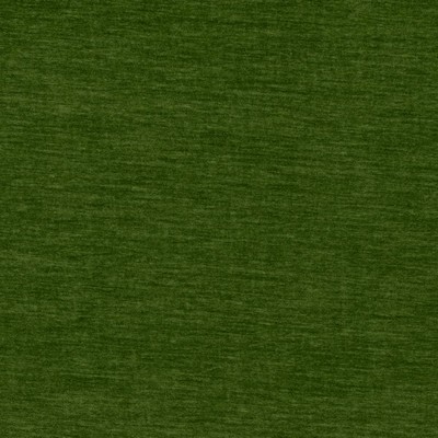 Charlotte Fabrics D4709 Grass
