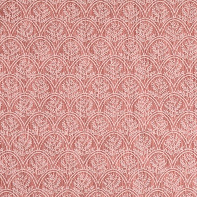 Charlotte Fabrics Trellis Trellis Petal