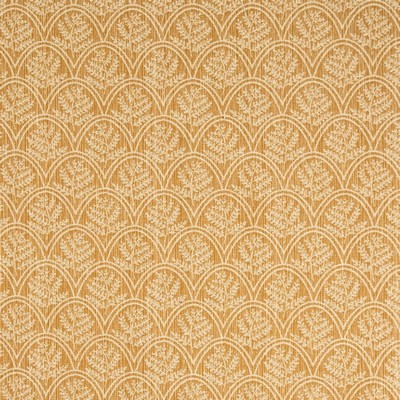 Charlotte Fabrics Trellis Trellis Amber