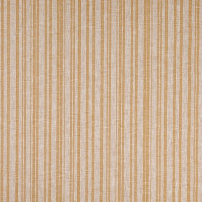 Charlotte Fabrics Hearth Hearth Amber