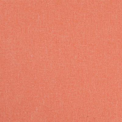 Charlotte Fabrics D4825 Cantaloupe