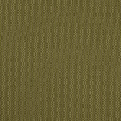 Charlotte Fabrics D4836 Grass