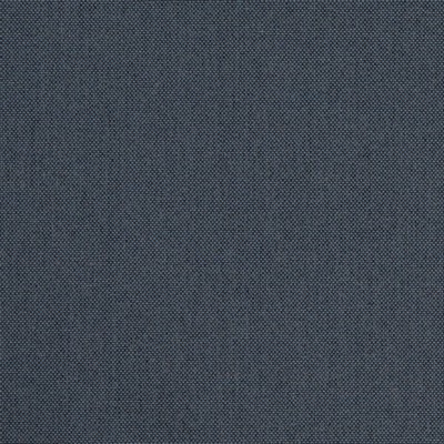 Charlotte Fabrics D4861 Lake