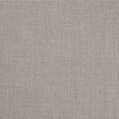 Charlotte Fabrics D4862 Platinum