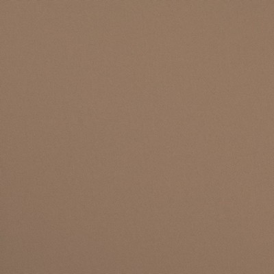 Charlotte Fabrics D4867 Khaki