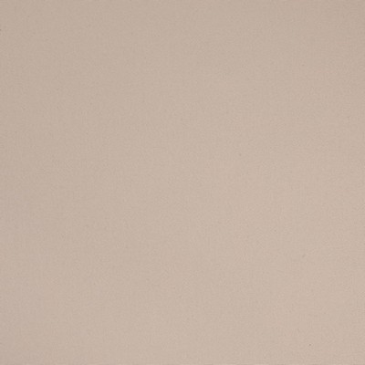 Charlotte Fabrics D4869 Ecru