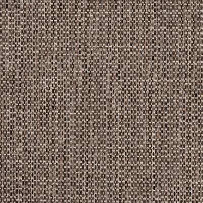 Charlotte Fabrics D4886 Bark