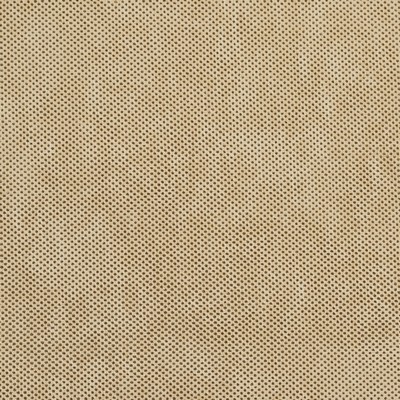 Charlotte Fabrics D527 Flax Texture