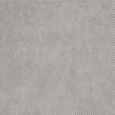 Charlotte Fabrics D530 Platinum Texture