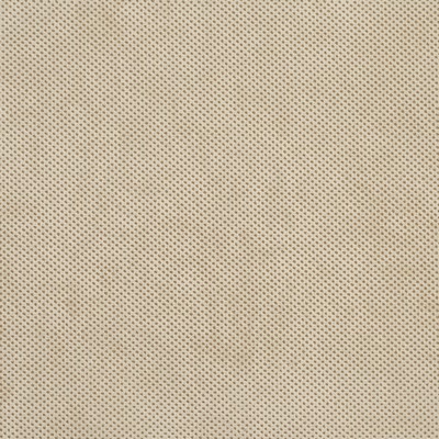 Charlotte Fabrics D532 Bisque Texture