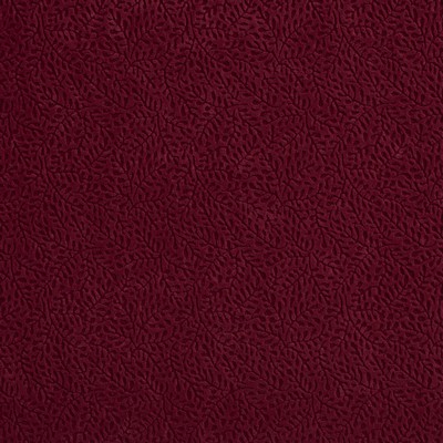 Charlotte Fabrics D549 Merlot Vine