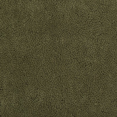 Charlotte Fabrics D569 Alpine Mosaic