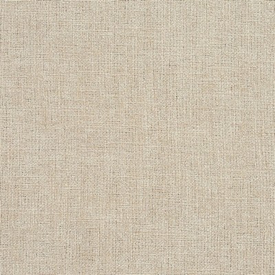 Charlotte Fabrics D709 Eggshell