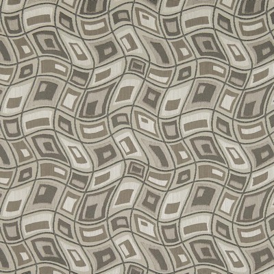 Charlotte Fabrics D865 Zion/Smoke