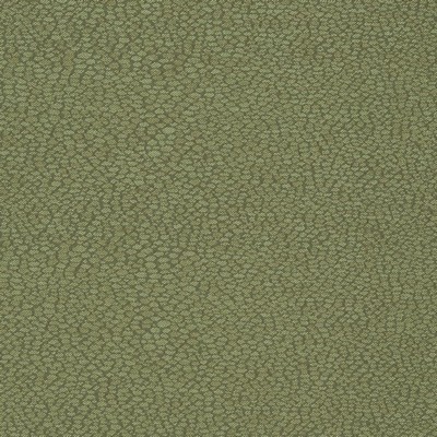 Charlotte Fabrics D898 Pebble/Sage