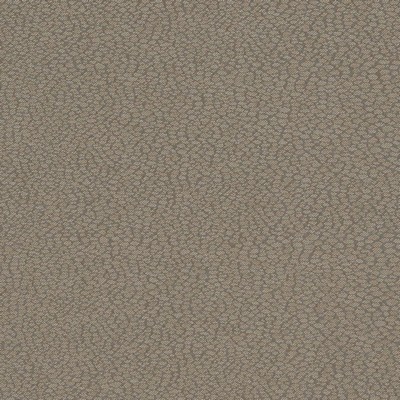 Charlotte Fabrics D900 Pebble/Slate