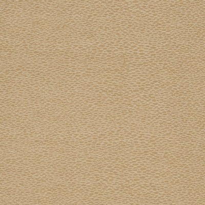 Charlotte Fabrics D902 Pebble/Taupe