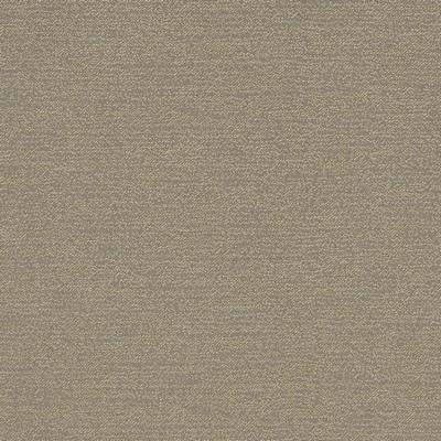 Charlotte Fabrics D903 Ravine/Granite