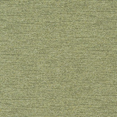 Charlotte Fabrics D907 Ravine/Thyme