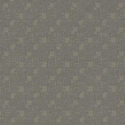 Charlotte Fabrics D924 Squares/Flannel