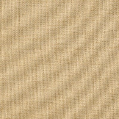 Charlotte Fabrics D958 Birch