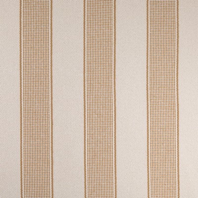 Charlotte Fabrics F100-155 