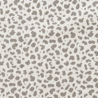 Charlotte Fabrics F300-110 