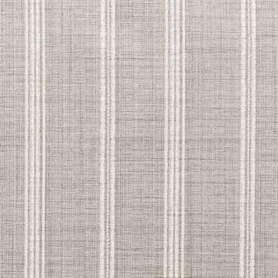 Charlotte Fabrics F300-111 