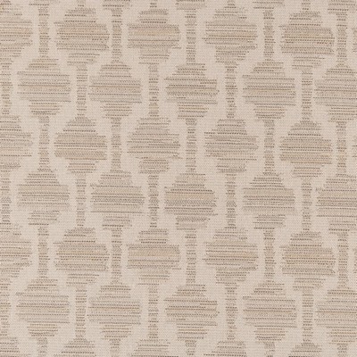 Charlotte Fabrics F300-127 