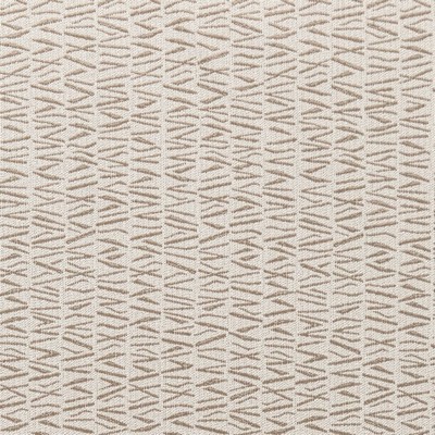 Charlotte Fabrics F300-128 