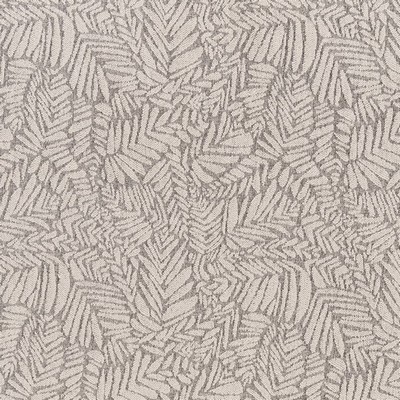 Charlotte Fabrics F300-160 