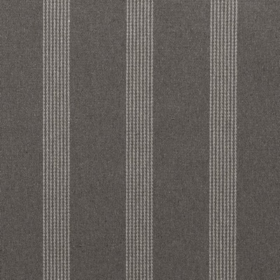 Charlotte Fabrics F300-161 