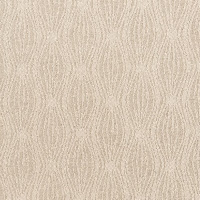 Charlotte Fabrics F300-163 