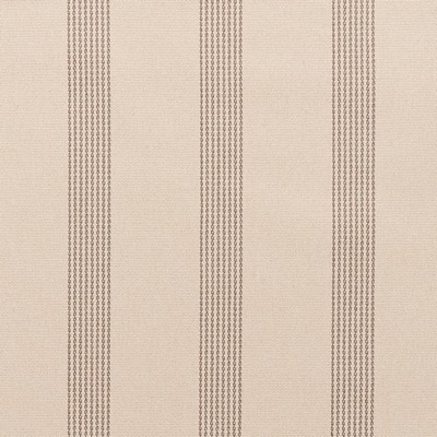 Charlotte Fabrics F300-165 