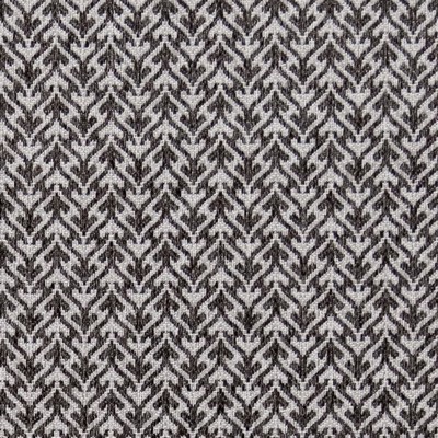 Charlotte Fabrics F300-171 