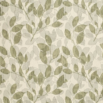 Charlotte Fabrics F300-228 