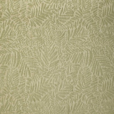 Charlotte Fabrics F300-283 