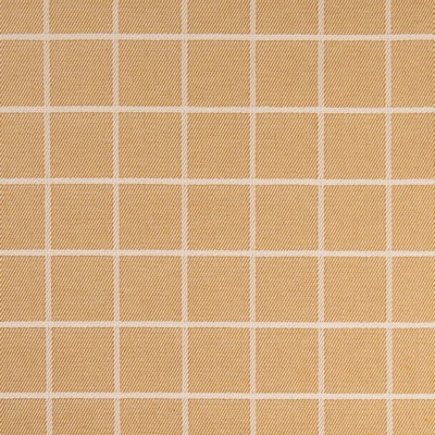 Charlotte Fabrics F300-297 