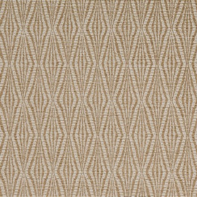 Charlotte Fabrics F300-328 