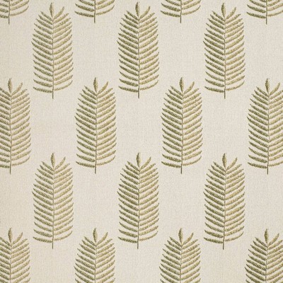 Charlotte Fabrics F400-153 