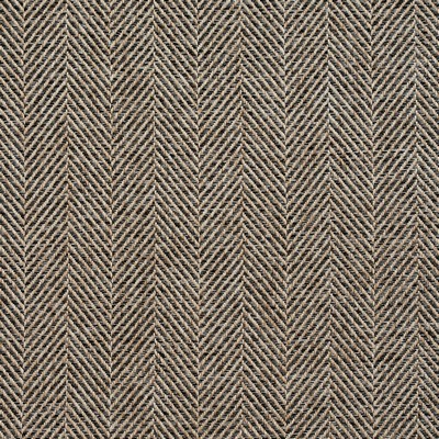 Charlotte Fabrics R252 Fargo