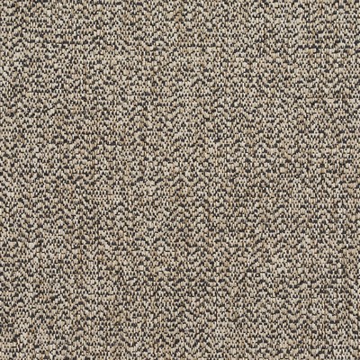 Charlotte Fabrics R253 Rockford